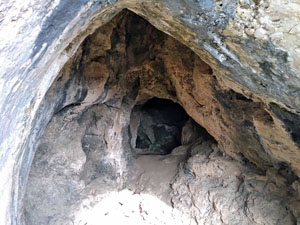 Cova de l'Ase