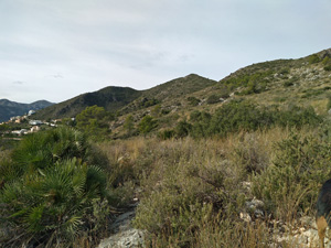 Looking back on our approach