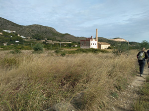 Through the campo