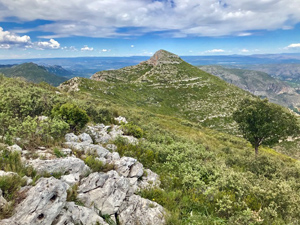 From the summit towards Cim del Penyalba