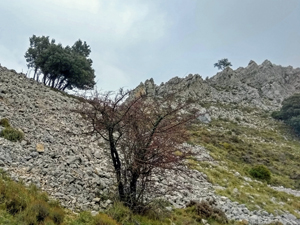 Rocky terrain