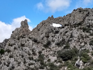 First Arch - a rabbit?