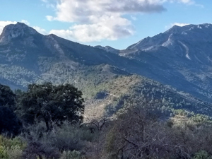Distant view of castle and Pla de la Casa