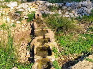 Font de la Mata