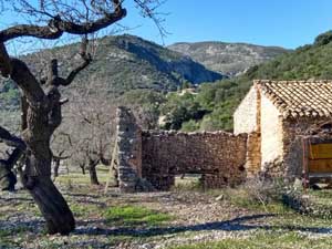 Stone Farmstead  and vine trellis
