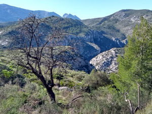 Barranc de Sequer