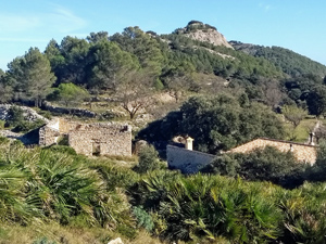 Castellet de Garga
