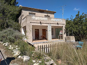 House opposite carving of cat