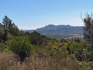 Segaria ridge in the distance