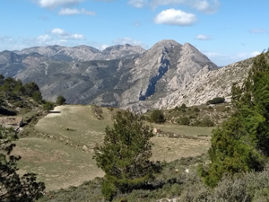 Malla de Llop canal