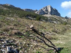 Looking ahead to Aixorta