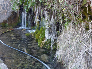 Just befor the end of the walk a charming diversion