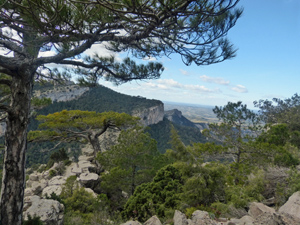 Moleta de les Canals circuit from Sant Roc 1