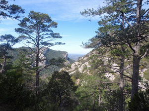 Moleta de les Canals circuit from Sant Roc 4