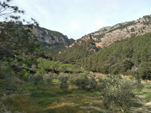 Moleta de les Canals circuit from Sant Roc 6