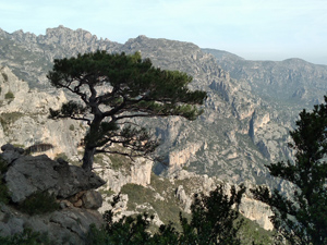 Looking N across Barranco Caramella