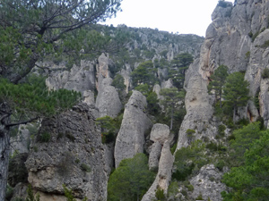 Pinnacles above the Forat de la Vella