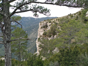 Looking across the Barranc de Galera on the ascent