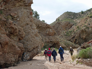 Walking the barraco-bed