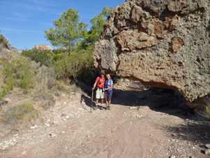 Dinosaur head rock