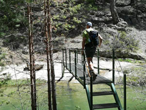 Exotic bridge
