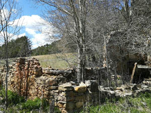 Old water mill