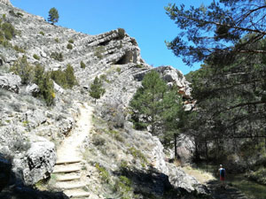 Path and watercourse