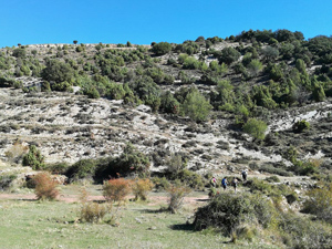 Rolling hills