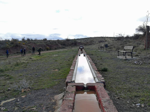 Trough