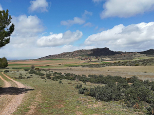 Wide open spaces