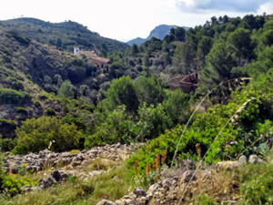 Marnes valley