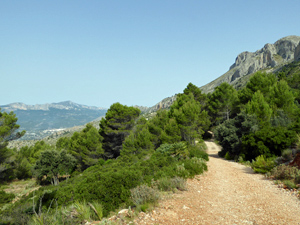 Walking along the flanks of Sierra Bernia