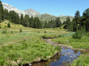 GR11.2 and a mountain stream