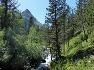 GR11.2 crosses the Rio Estos before rising to the Refugio