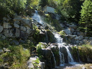 Stream or path?