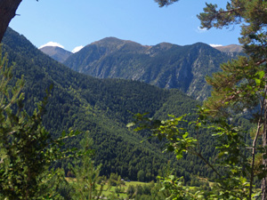 Views E