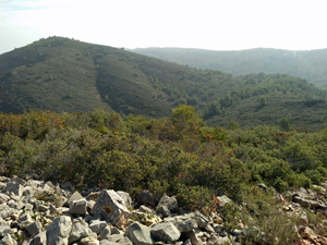 View from our summit