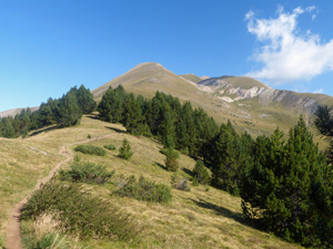 Looking up the ridge once clear of the treeline