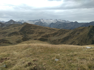 Pyrenean giants