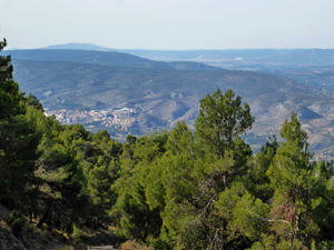 Towards Bocairent
