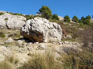 Boulder at Font Major