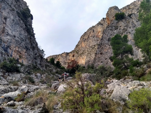 View up Barranco Rubia