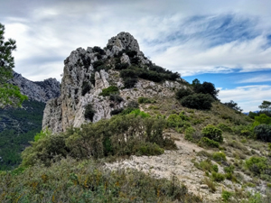 Rocky ridge