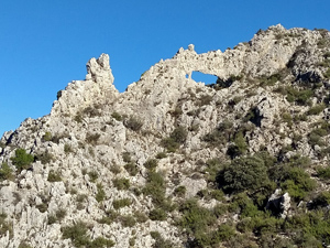 Typical limestone forat