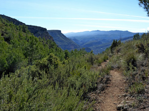 Path up to la Cruz