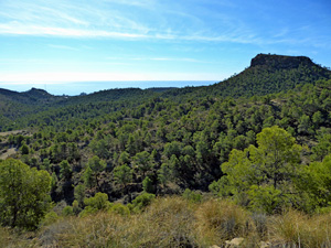 View over El Charco area