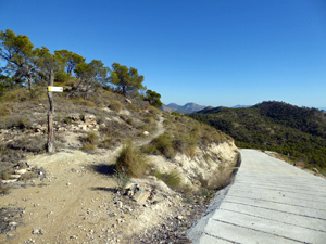 A mixture of Paths and Tracks