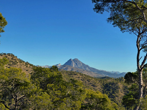 Puig Campana viewed near toour first drinks stop