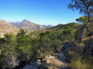 Ridge path looking towards Puig Campana