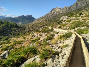 View inland along the acequia